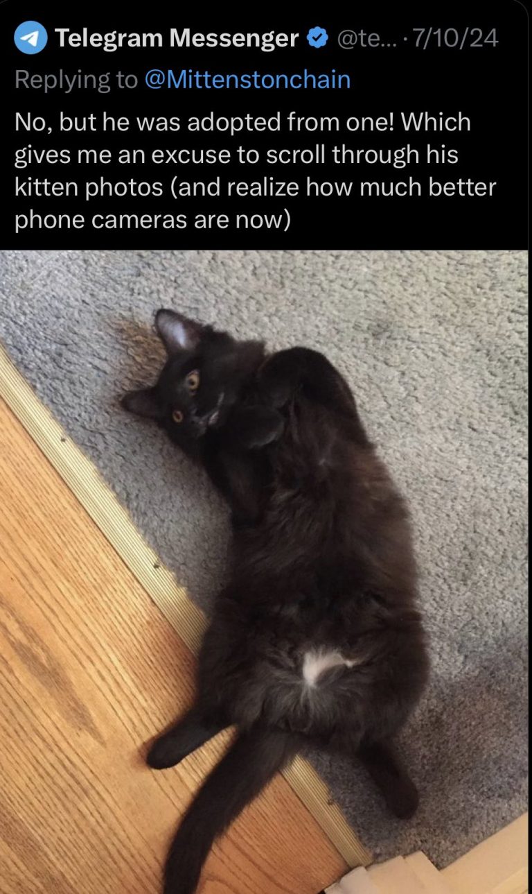 Adopt